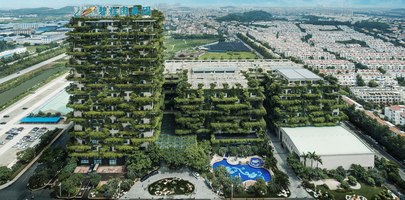 碧桂園地產(chǎn)